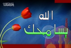 التسامح.. فريضة الأسرة الغائبة