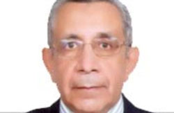 مصر على مفترق الطرق