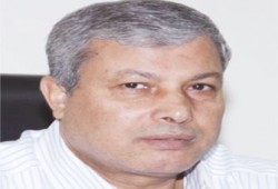 الاتجاه نحو الإسلام قسرًا!