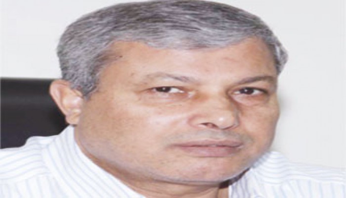 الاتجاه نحو الإسلام قسرًا!