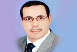 بدائل الحزب الوطني للحل الإسلامي