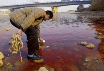 تلوث نهر النيل.. شريان الموت