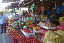 يا حافظ.. كيلو الطماطم بـ15 جنيهًا!