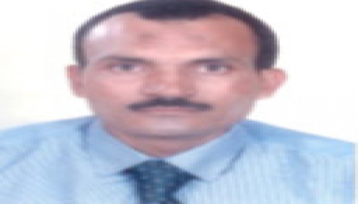 وحيد حامد والفرص الضائعة