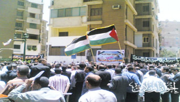 وقفة لمحامي أسيوط احتجاجًا على مجزرة الحرية