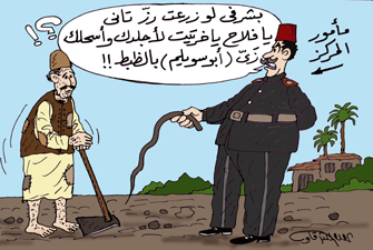 زراعة الأرز.. حرب الحكومة والمزارعين