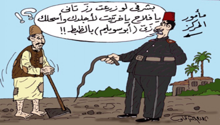 زراعة الأرز.. حرب الحكومة والمزارعين