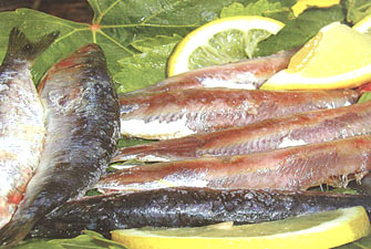 موسم الأغذية الفاسدة.. الرعب السنوي؟