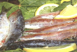 موسم الأغذية الفاسدة.. الرعب السنوي؟