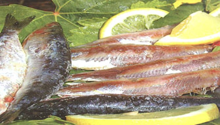 موسم الأغذية الفاسدة.. الرعب السنوي؟