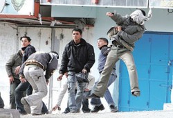 ندوة: جذب أحرار العالم لقضية فلسطين ضرورة