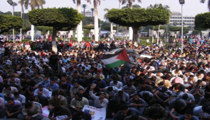 طلاب مصر يواصلون تضامنهم مع الأقصى