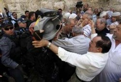 مظاهرة في هولندا تنديدًا بجرائم الاحتلال