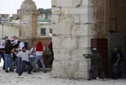 محامو دمياط يناصرون المسجد الأقصى