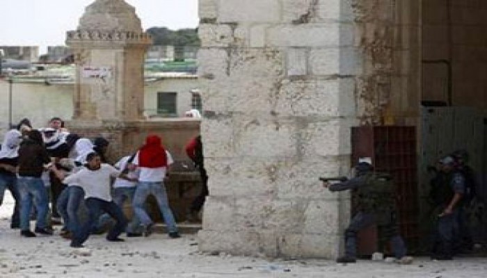 محامو دمياط يناصرون المسجد الأقصى