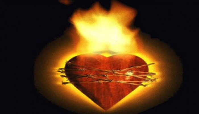 الغيرة بين زوجات الأشقاء