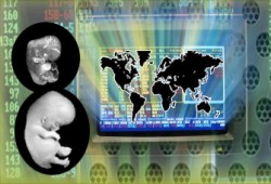 محاربة الإسلام من خلال نظرية التطور