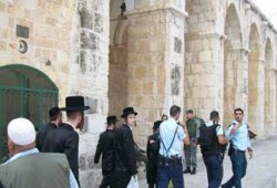 يهود متطرفون يقتحمون المسجد الأقصى!!