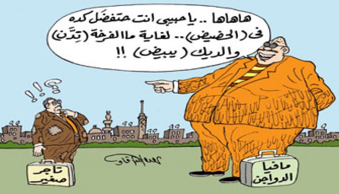 بالأسماء والأرقام.. مافيا الدواجن في مصر