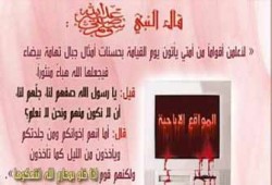 الرذيلة عبر الإنترنت.. حرام حرام