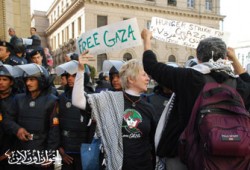 مظاهرتان وبلاغ للنائب العام ضد الجدار الفولاذي