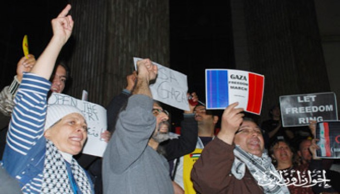 النشطاء الأجانب.. بطولات من أجل غزة