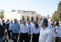 66 انتهاكًا صهيونيًّا للمقدسات الفلسطينية في 2009م