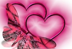 د. هند عبد الله تكتب: أجمل البنات لكل البنات(3)