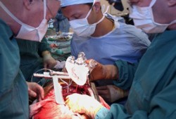 "أطباء" مصر يدينون سرقة الكيان لأعضاء الشهداء