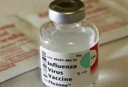 مفاجأة.. الاتفاق على مصل "الخنازير" قبل عامين من ظهوره!