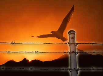 اعتقال 8 من قيادات الإخوان المسلمين!