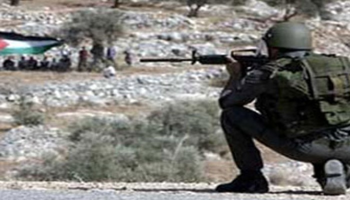 صهيوني يدهس فلسطينيًّا بسيارته في حراسة الشرطة