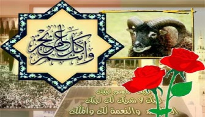 بركة العيد.. الذبح على أعتاب الأزمة المالية