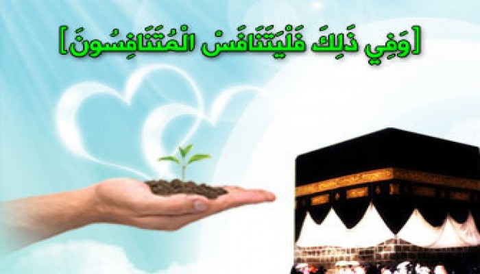 المصريون وعيد الأضحى.. عمل الخير يكسب