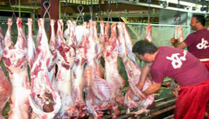 د. عبد الرحمن البر يكتب عن: الأضحية في الإسلام