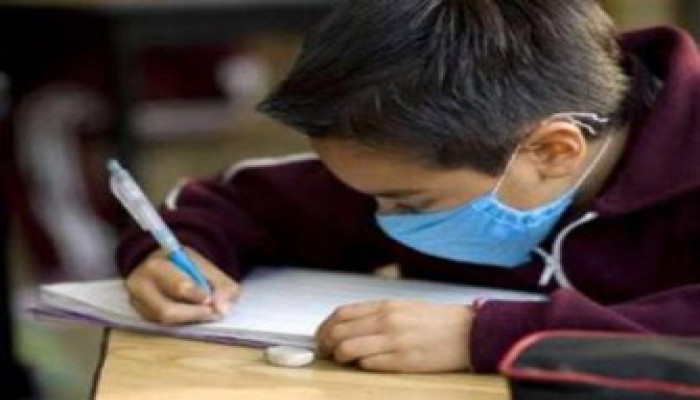 التعليم ومواجهة "الخنازير.. الخطط "الفشنك"!