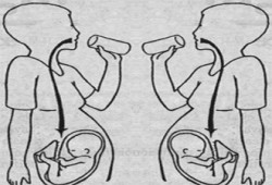 فطر رمضان من أجل الحمل والإرضاع