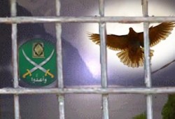 الجنايات تؤيد قرار إخلاء سبيل 3 من إخوان الدقهلية