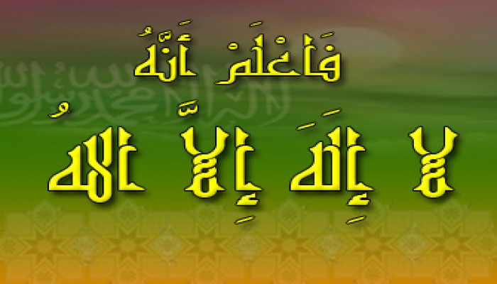 هل لله وجه ويد؟