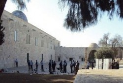 دعوات لهبة عالمية تضامنية مع الأقصى