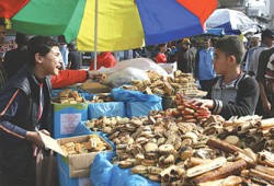 غزة.. احتفال بالعيد رغم الحصار والتدمير