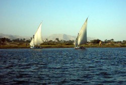 وحدة المصدر والهدف