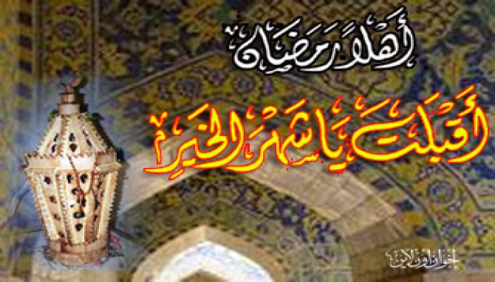 حبيبي المسافر