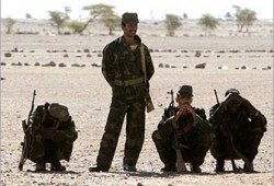 غدًا.. استمرار المفاوضات بين المغرب والبوليساريو