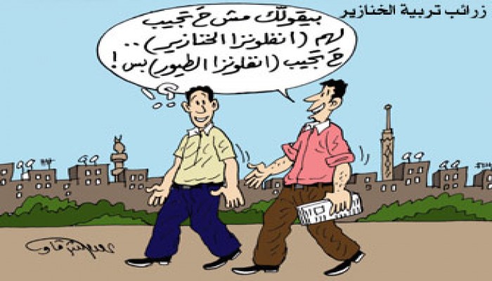 عودة تربية الخنازير.. ضغوط الكبار!!