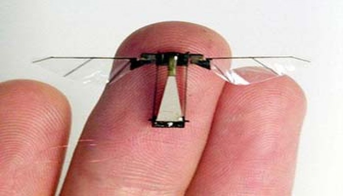 الجيش الأمريكي يطور "حشرة تجسس" إلكترونية