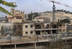 مغتصبة "معاليه أدوميم".. جرائم الاستيطان في الضفة الغربية