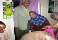 زواج اليتيمات وقوافل طبية أنشطة محلية لجادو