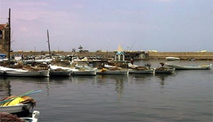 المعوقات التي تواجه الثروة السمكية بكفر الشيخ واقتراحات حلها