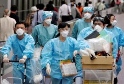 صحف العالم تتوقع انتشار إنفلونزا الخنازير بصورة كارثية